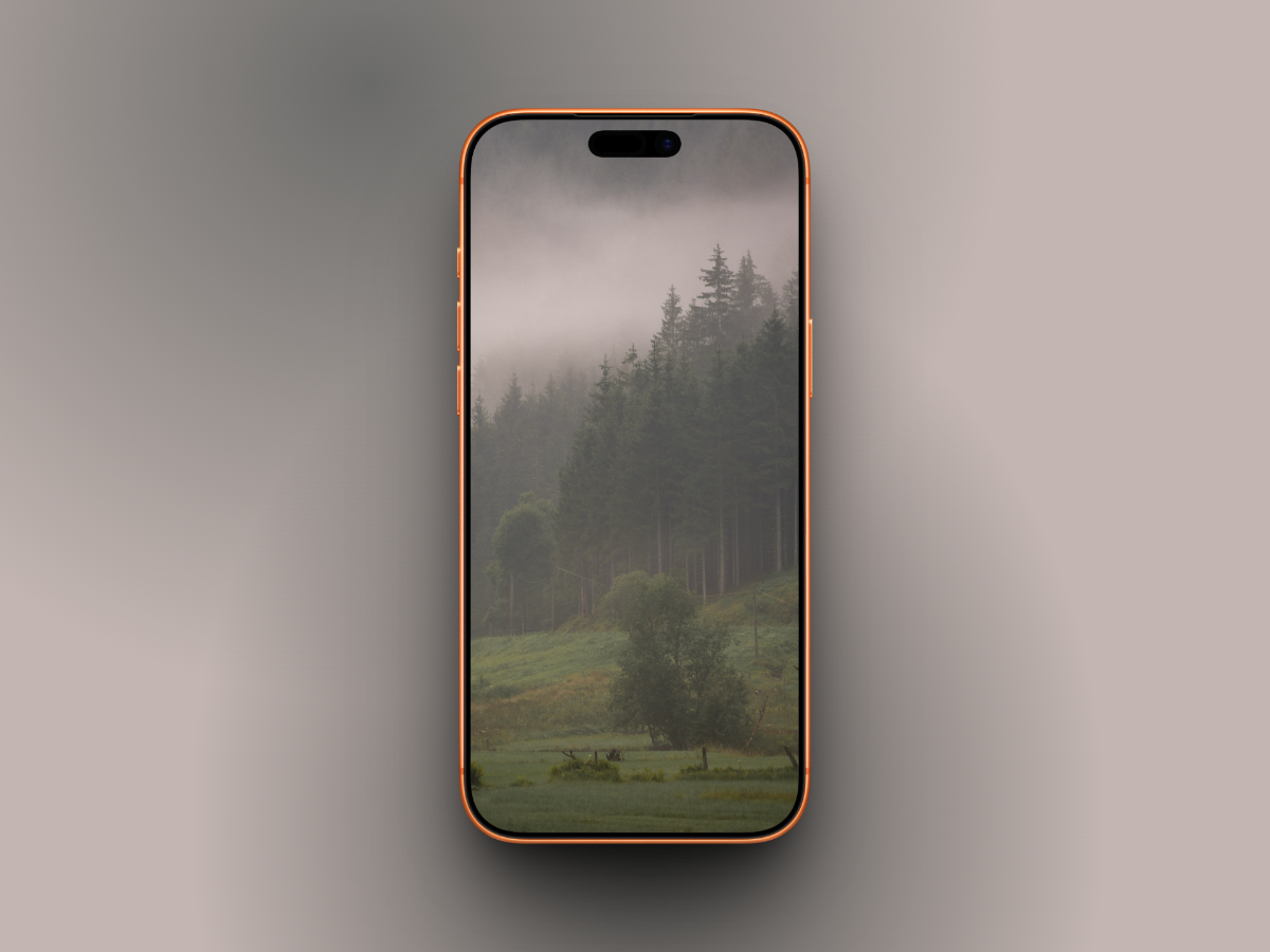 Pine Trees in Meadow